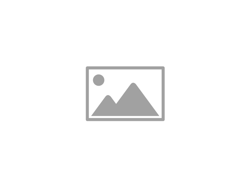 Video Language